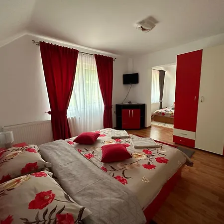 Casa Ika&matei * Borşa